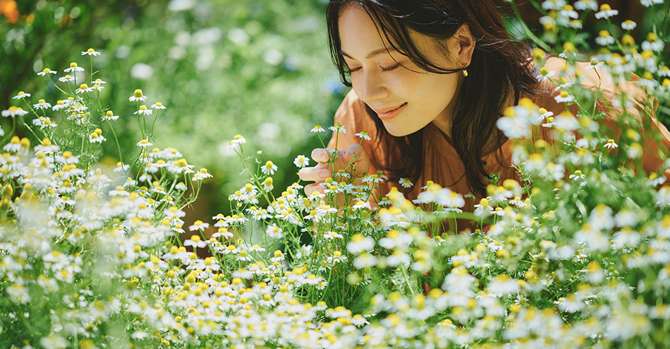 ハーブガイドツアー