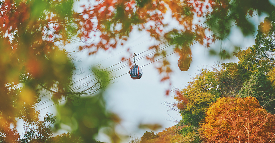 秋の色づく山々