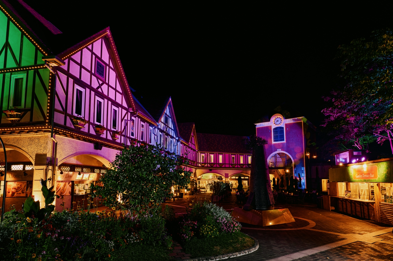 光の森～Forest of Illuminations～森の大聖堂1500_PLXB1511