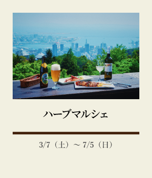 ハーブマルシェ:3/7(土)~7/5(日)