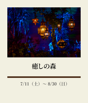 癒しの森:7/11(土)~8/30(日)