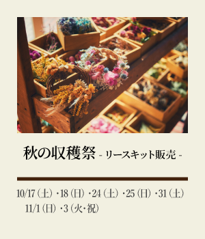 秋の収穫祭―リースキット販売―:10/17(土)・18(日)・24(土)・25(日)・31(土)11/1(日)・3(火・祝)
