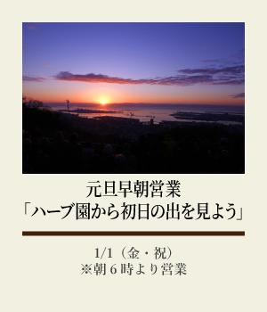 元旦早朝営業「ハーブ園から初日の出を見よう」:1/1(金・祝)※朝6時より営業
