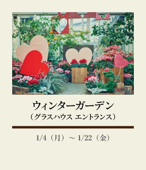ウィンターガーデン(グラスハウス エントランス):1/4(月)~1/22(金)