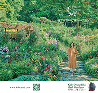 Pamphlet / 総合パンフレット表紙イメージ