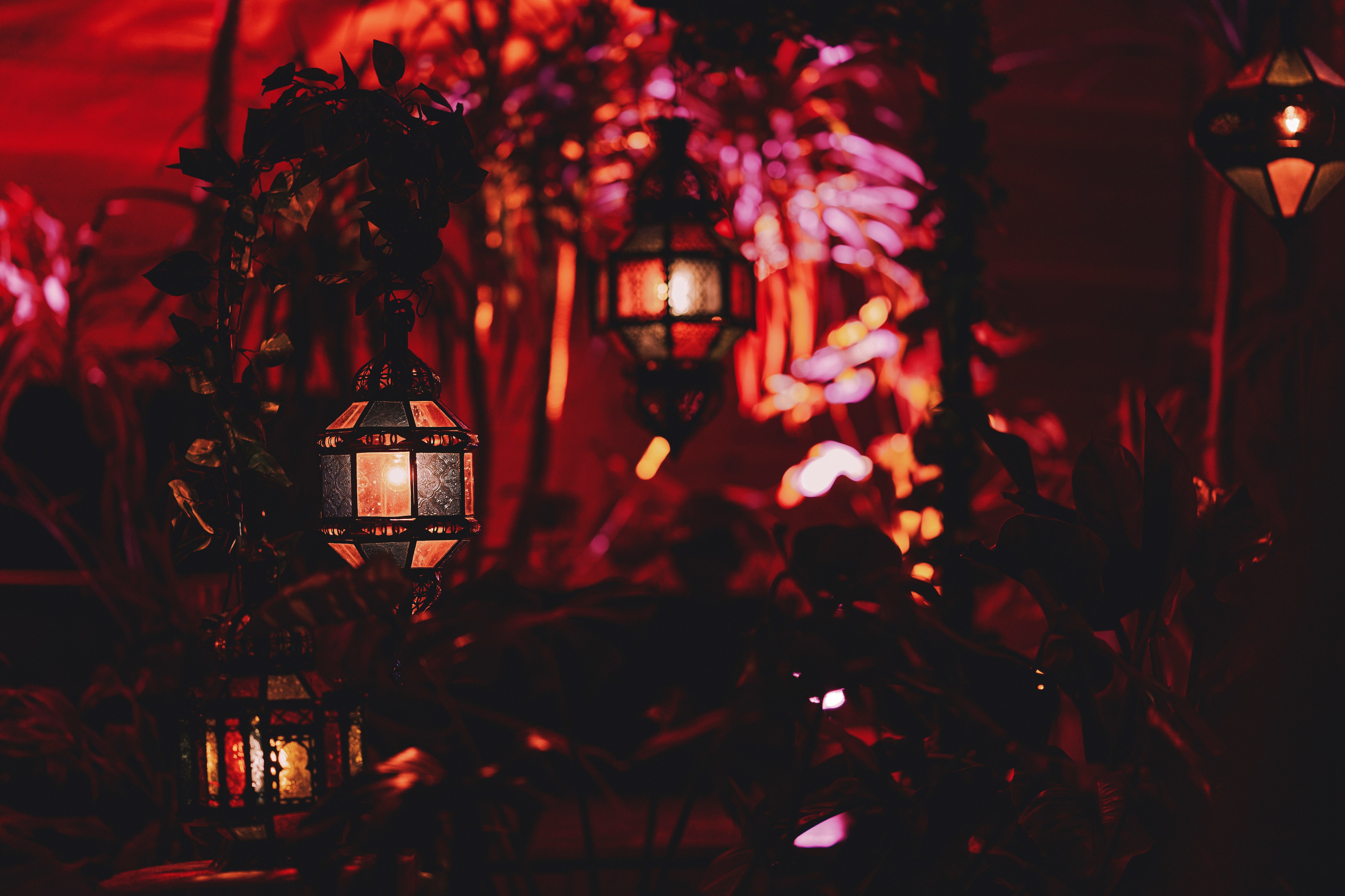 癒しの森_LXB0151