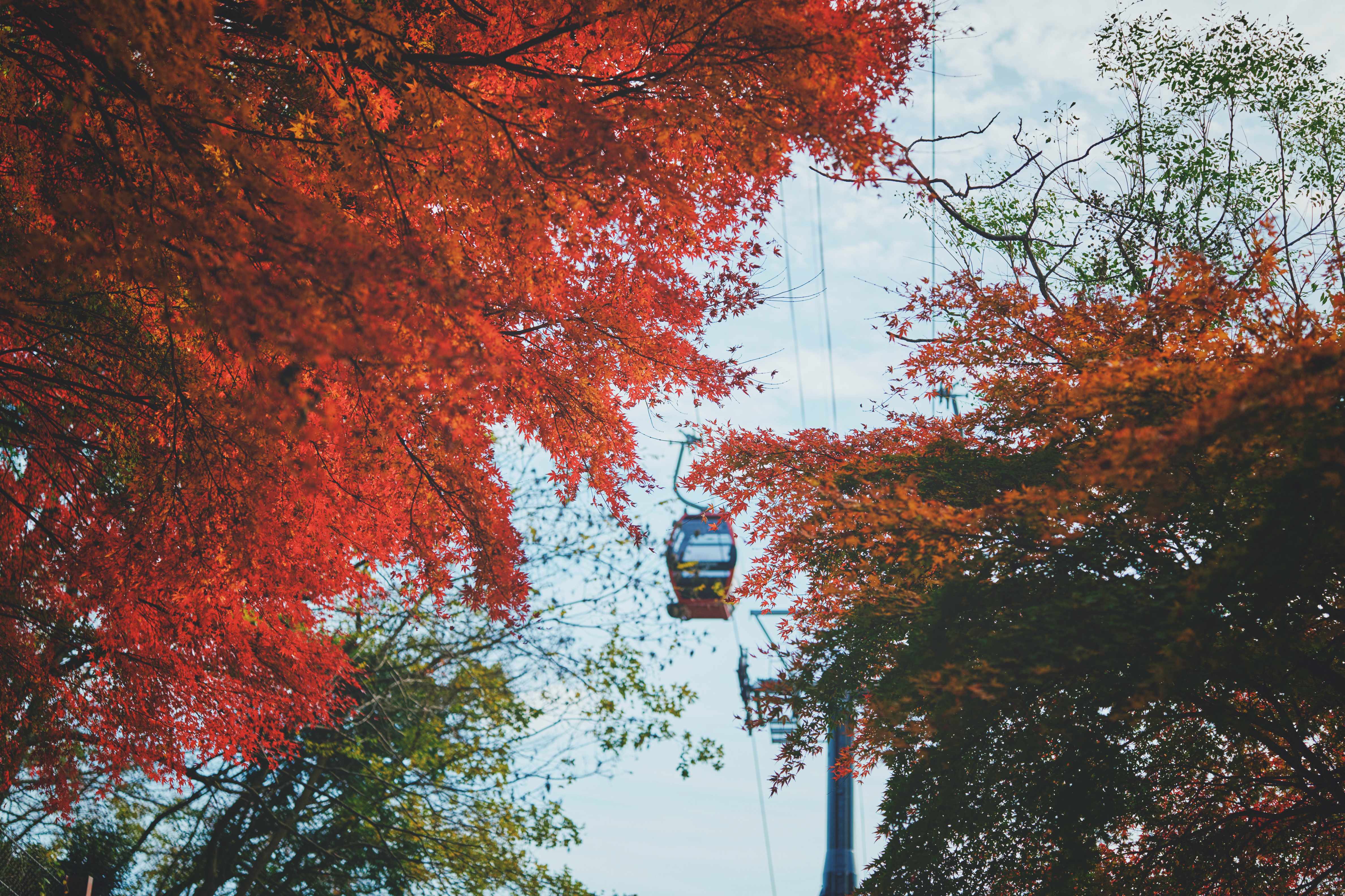 布引の紅葉_ロープウェイ_S120115