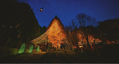 11/7-12/28 高さ25m、夜空にそびえる「森のクリスマスツリー」